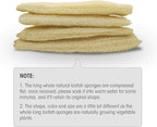 Natural Organic Loofah Sponges Large Exfoliating Shower Bath Loofah Luffa Loofa - Image 5