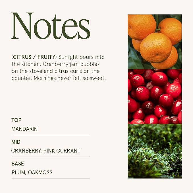 LA JOLIE MUSE Ruby Berry Bliss Scented Candle| Mandarin, Cranberry & Plum | 10 - Image 5
