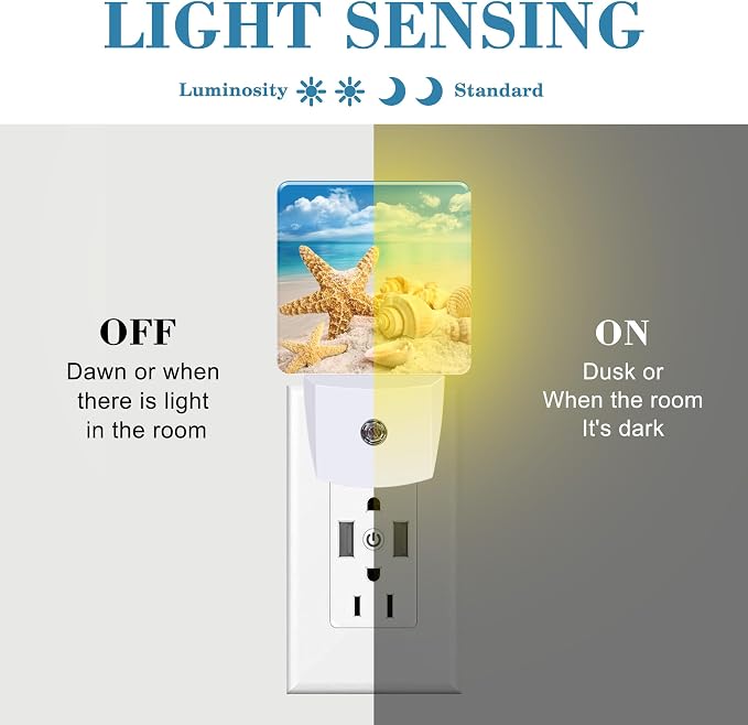 Night Light Plug into Wall Starfish Seashells On Beach Night Light - Image 2