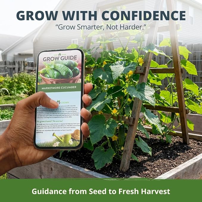 HOME GROWN Organic Marketmore Cucumber Seeds 200+ Heirloom Non-GMO Seeds - Image 8