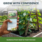 HOME GROWN Organic Marketmore Cucumber Seeds 200+ Heirloom Non-GMO Seeds - Image 8