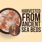 Good Tierra Himalayan Pink Salt in Jar - Image 13