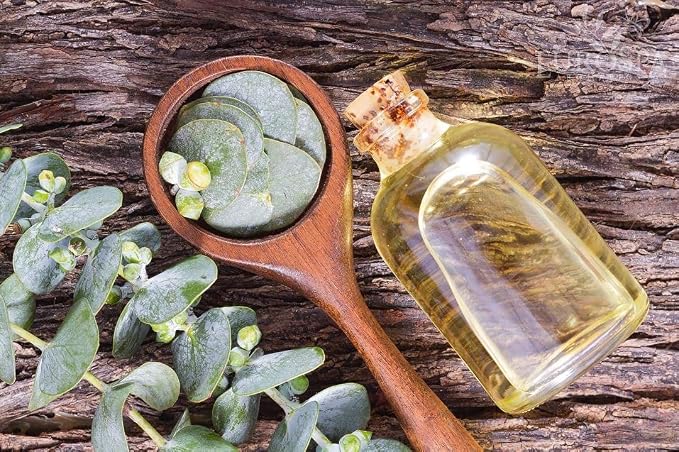 EuroSpa Aromatics Pure Eucalyptus Oil ShowerMist and Steam Room Spray, - Image 4