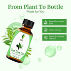 SVA Tea Tree Essential Oil – 1 Fl Oz – 100% Natural Tea Tree Oil - Image 4