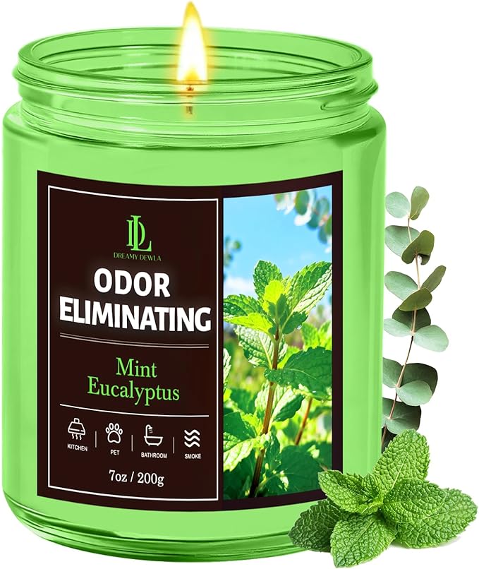 Mint Eucalyptus Odor Eliminating Highly Fragranced Candle, Eliminates 95% of by DLDREAMYDEWLA