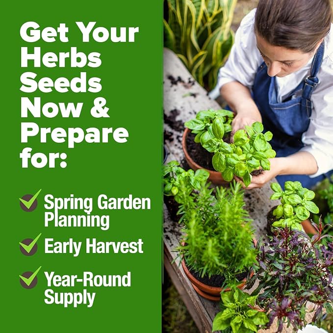 HOME GROWN 25 Herb Seeds for Planting 8, 700+ Non-GMO Heirloom Seeds | Extra - Image 6