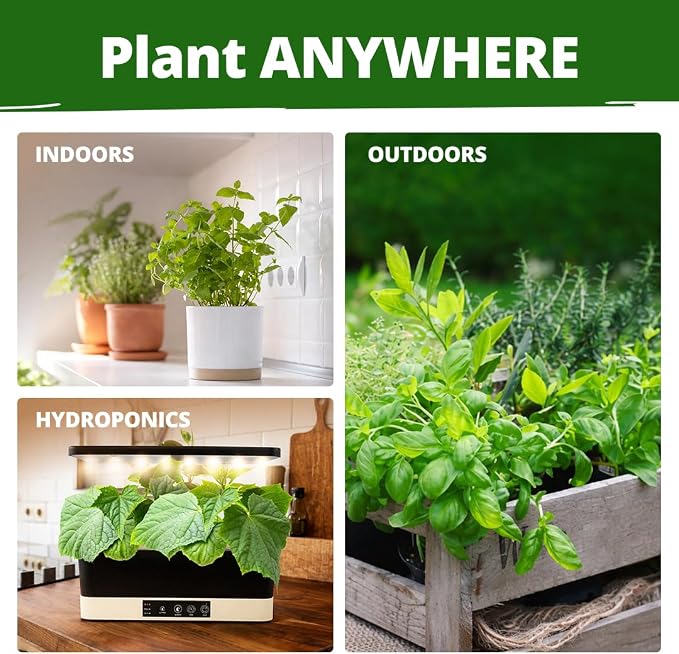 HOME GROWN Herb Seeds for Planting 15-Pack Massive Seed Count 4, 300+ Seeds - Image 7