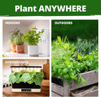 HOME GROWN Herb Seeds for Planting 15-Pack Massive Seed Count 4, 300+ Seeds - Image 7