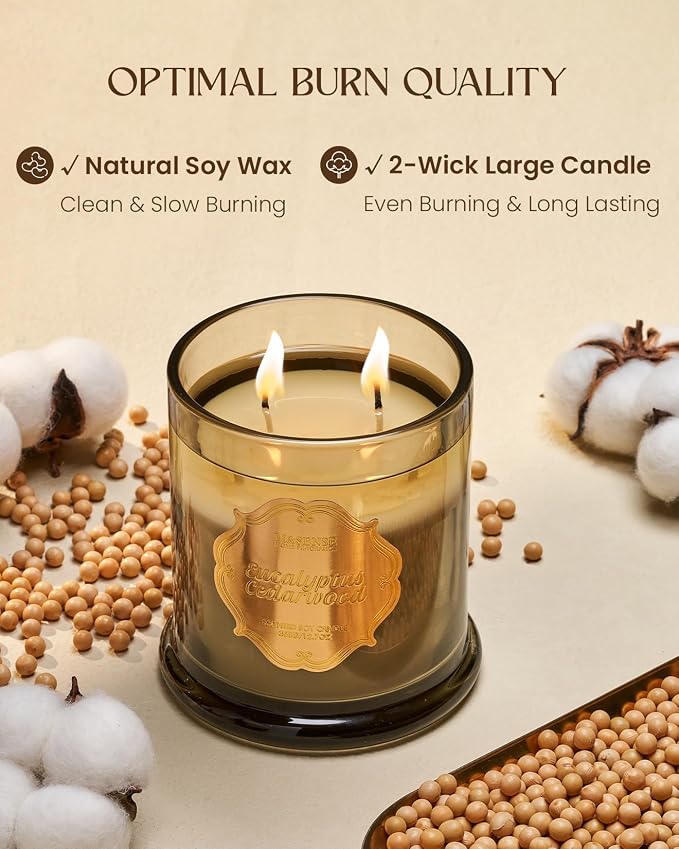 M&SENSE Eucalyptus Cedarwood Soy Candles, 2 Wick 12.7oz Large Jar Candle 75H - Image 4