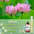 Lotus Essential Oil - Image 2