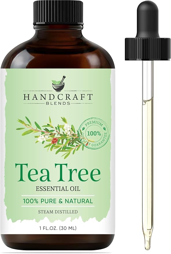 Handcraft Blends Tea Tree Essential Oil – 1 Fl Oz – 100% Pure and Natural – by HandcraftBlends