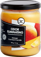 Mango Odor Eliminating Highly Fragranced Candle by DiannesCustomCandles