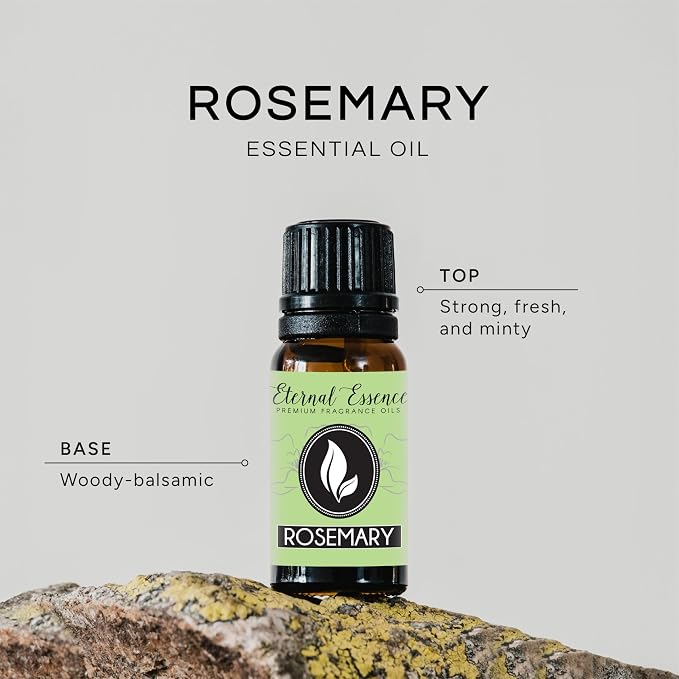 Rosemary Premium Grade Fragrance Oil - 10ml - Scented Oil - Image 2