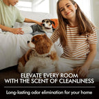 Room Spray Odor Eliminator 3 Pack, Natural Essential Oil Air Freshener Spray - Image 7