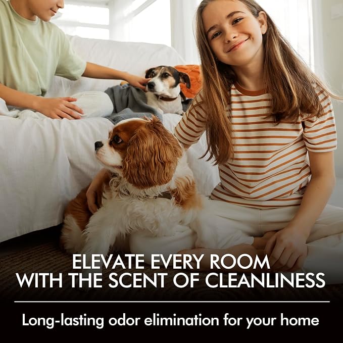 Room Spray Odor Eliminator 3 Pack, Natural Essential Oil Air Freshener Spray - Image 7