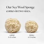 LATHER - Natural Sea Wool Sponge, 4-5" - Organic Exfoliating Body Scrubber - - Image 3