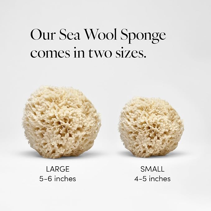 LATHER - Natural Sea Wool Sponge, 4-5" - Organic Exfoliating Body Scrubber - - Image 3