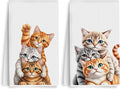 2PCS Cute Cat Kitchen Towels, Cat Themed Gifts Reusable Absorbent Waffle Weave by Unknown