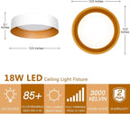 Bargeni LED Ceiling Light Fixture, 12.5 inch Flush Mount Light Fixture - Image 3