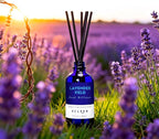 Xcleen Reed Diffuser Set, Lavender Field Oil Diffuser - Image 6