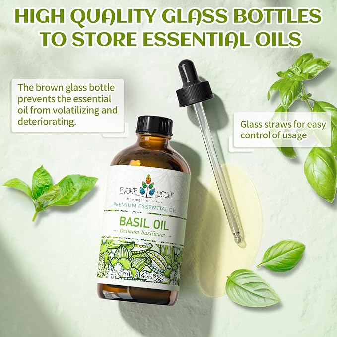 EVOKE OCCU Basil Essential Oil for Skin Massage Diffuser and Candle Making- 4 - Image 8