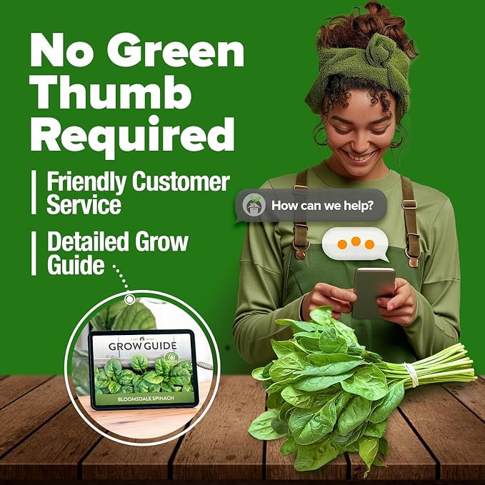 HOME GROWN Bloomsdale Spinach Seeds 704+ Heirloom Non-GMO Seeds - Image 8