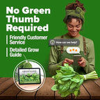 HOME GROWN Bloomsdale Spinach Seeds 704+ Heirloom Non-GMO Seeds - Image 8