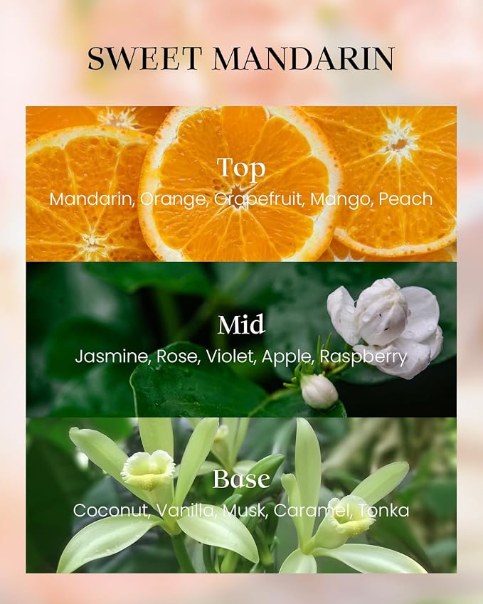 M&SENSE Sweet Mandarian Scented Vegan Soy Candles, No Toxin Refreshing Fragrance - Image 3