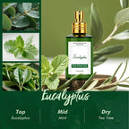 Room Spray Odor Eliminator 3 Pack, Natural Essential Oil Air Freshener Spray - Image 2