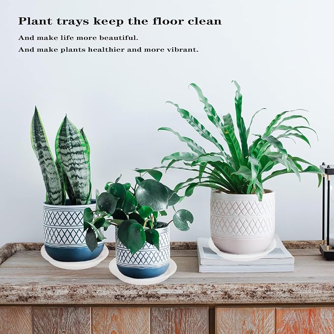2 Pack of Clear Plant Saucer 12 inch, Heavy Duty Plant Trays - Image 4