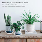 2 Pack of 25 26 inch Extra Large Clear Plant Saucer, Extra Deep 4.2" Tray - Image 6