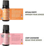Folkulture Essential Oils Set | 6 Relaxing Fragrance Oils - Image 7