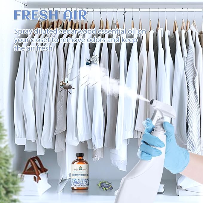 EVOKE OCCU Cedarwood Essential Oil - Image 3