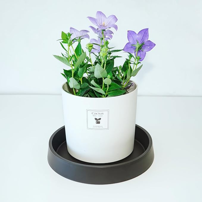 Plant Saucer Tray for Ceramic Plastic Pots, 12 inch Plant Saucers for Indoors - Image 3
