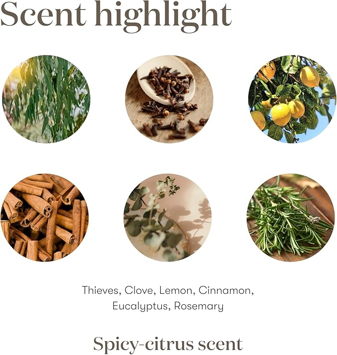 Thieves 5ml Essential Oil by Young Living Essential Oils - Image 6
