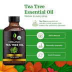 SVA Tea Tree Essential Oil Organic – 2 Fl Oz – 100% Natural Organic Tea Tree Oil - Image 2