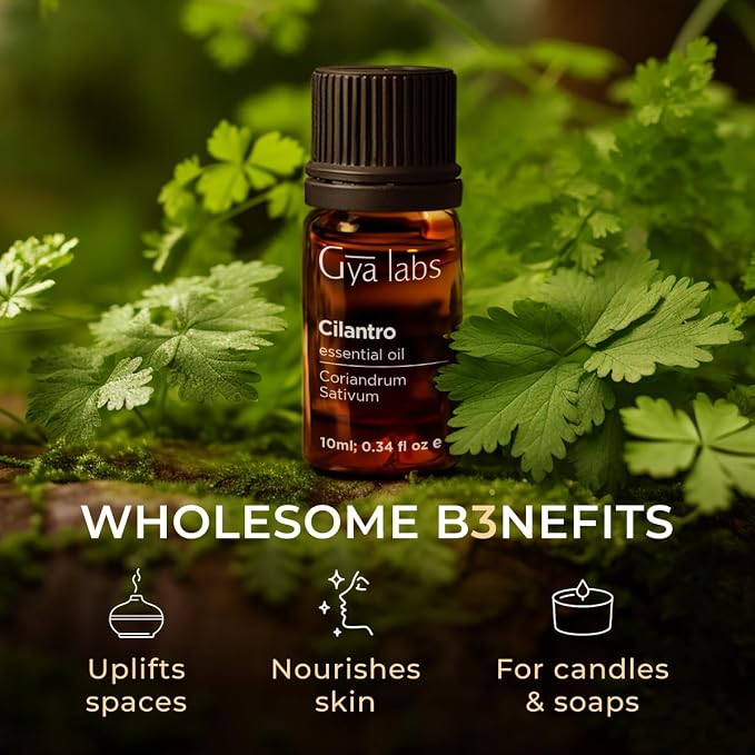 100% Pure Cilantro Essential Oil - Image 5
