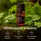 100% Pure Cilantro Essential Oil - Image 5