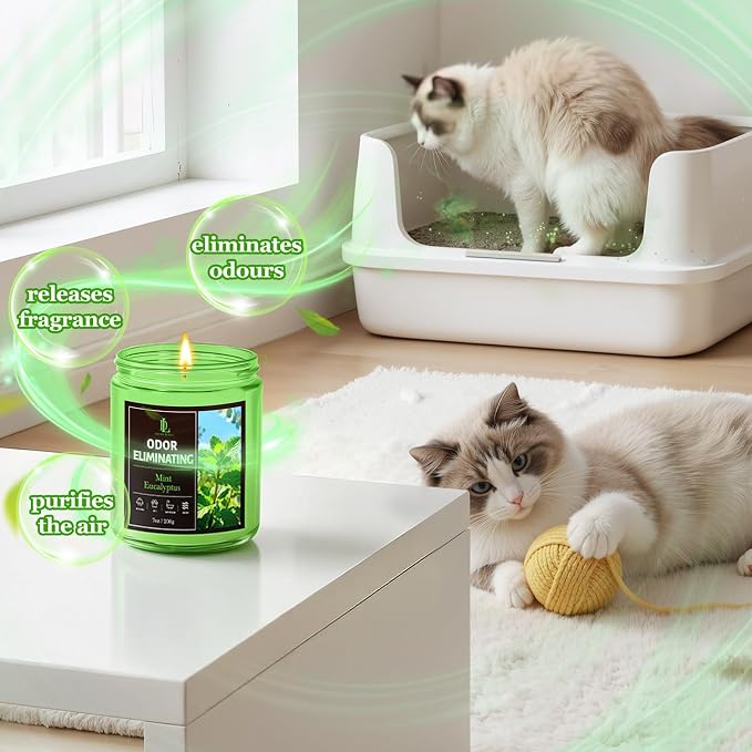 Mint Eucalyptus Odor Eliminating Highly Fragranced Candle, Eliminates 95% of - Image 2