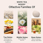 PHATOIL 3.38FL.OZ White Tea Fragrance Oils - Image 4