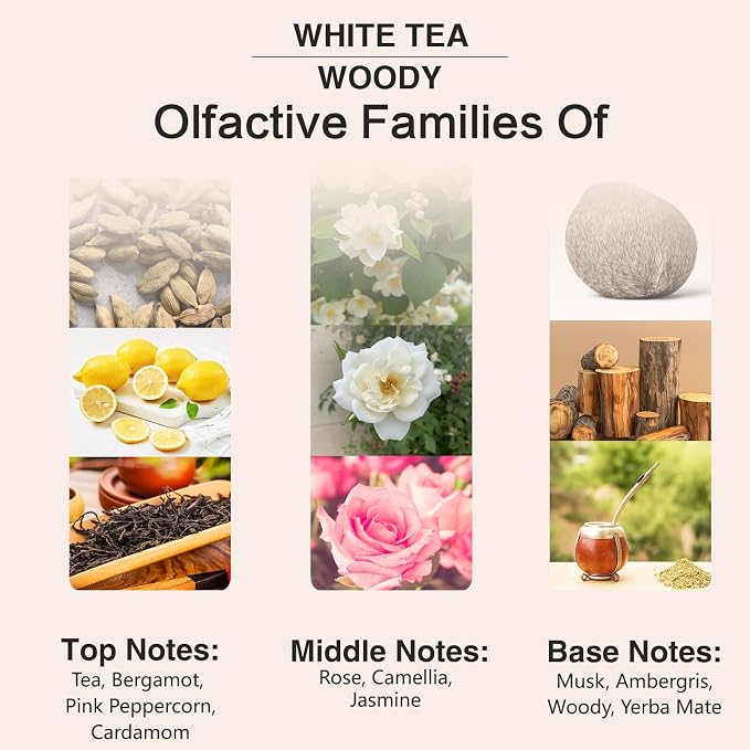PHATOIL 3.38FL.OZ White Tea Fragrance Oils - Image 4