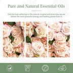 PHATOIL 3.38FL.OZ Rose Essential Oil - Image 6