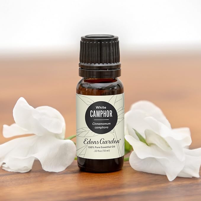 Edens Garden Camphor- White Essential Oil, 100% Pure Therapeutic Grade 10 ml - Image 2
