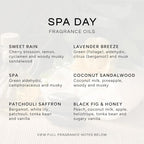 Eternal Essence Oils Spa Day Set of 6 Premium Fragrance Oils - Image 2