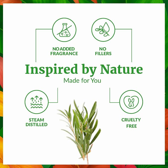 SVA Tea Tree Essential Oil Organic – 2 Fl Oz – 100% Natural Organic Tea Tree Oil - Image 3