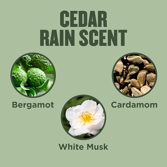 Gold Bond Hand Cream, Cedar Rain Refreshing Hand Cream - Image 4