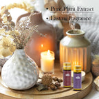 Fragrance Essential Oils Set - Image 2