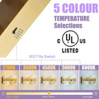 Modern LED Bathroom Light Fixtures Dimmable 2-Light Gold Vanity Light, 5CCT - Image 3