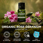 Gya Labs Organic Rose Geranium Essential Oil - Image 8