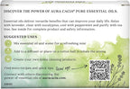 Aura Cacia Discover Essential Oils Kit, Eucalyptus, Peppermint & Tea Tree Oils - Image 2
